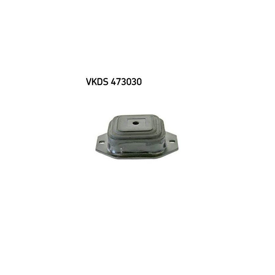 Skf Vkds 473030 Axle Bush | ML Performance US Car Parts