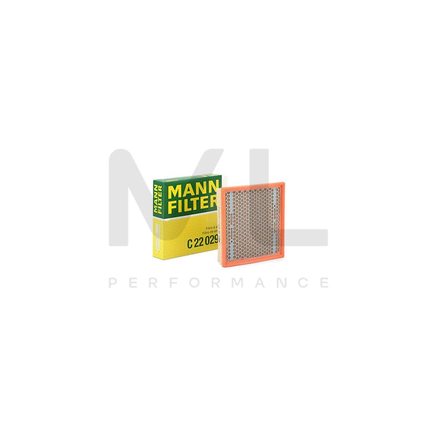 MANN-FILTER C 22 029 Air Filter Filter Insert