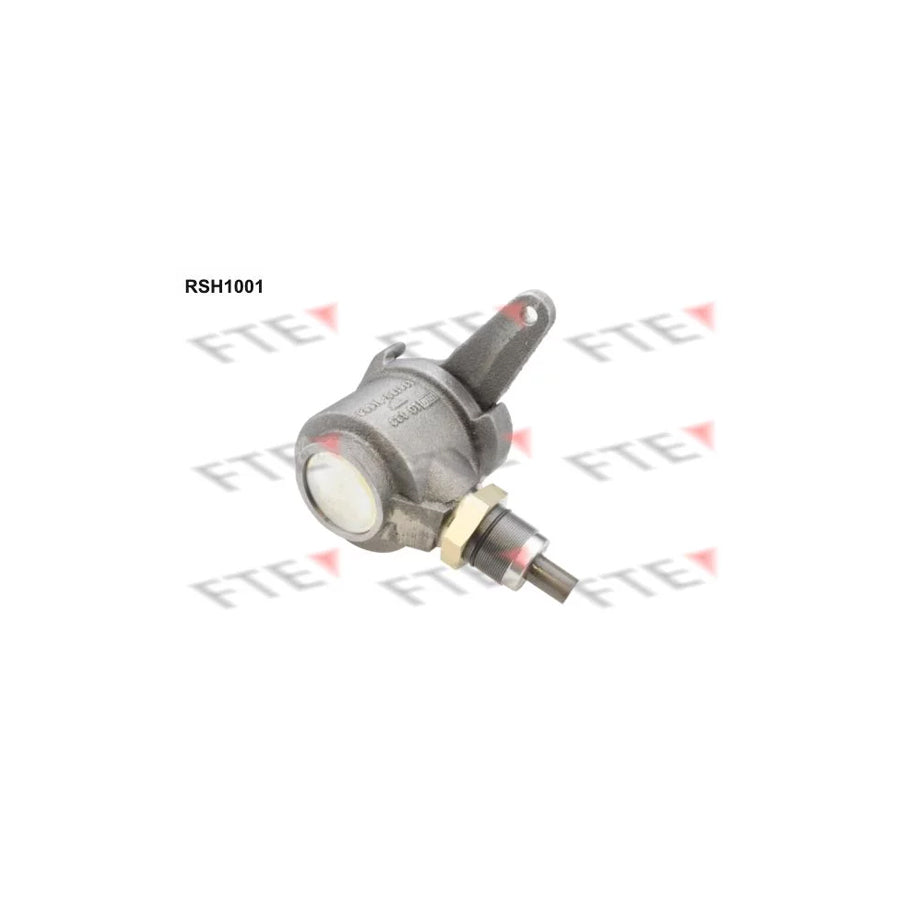 FTE Rsh1001 Lever, Compressed Air Brake System Caliper