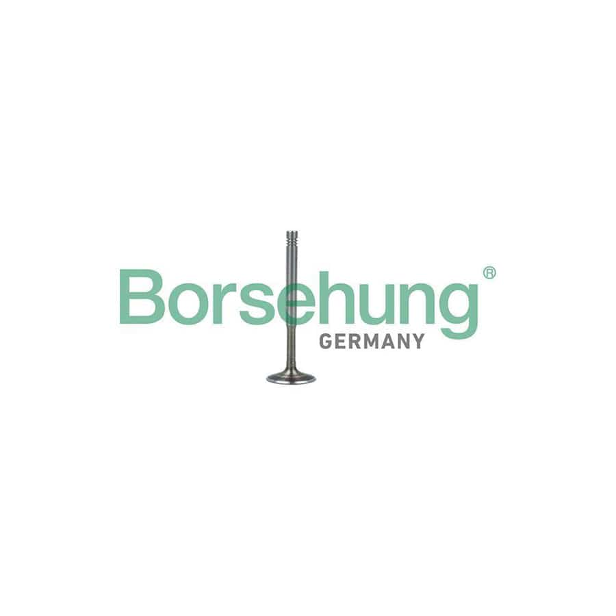 Borsehung B19010 Exhaust Valve