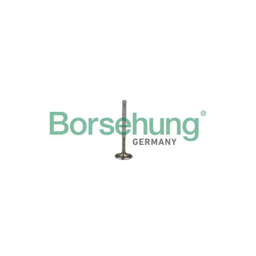 Borsehung B19009 Exhaust Valve