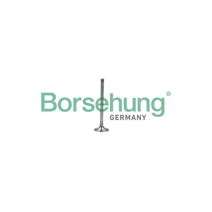 Borsehung B19007 Exhaust Valve