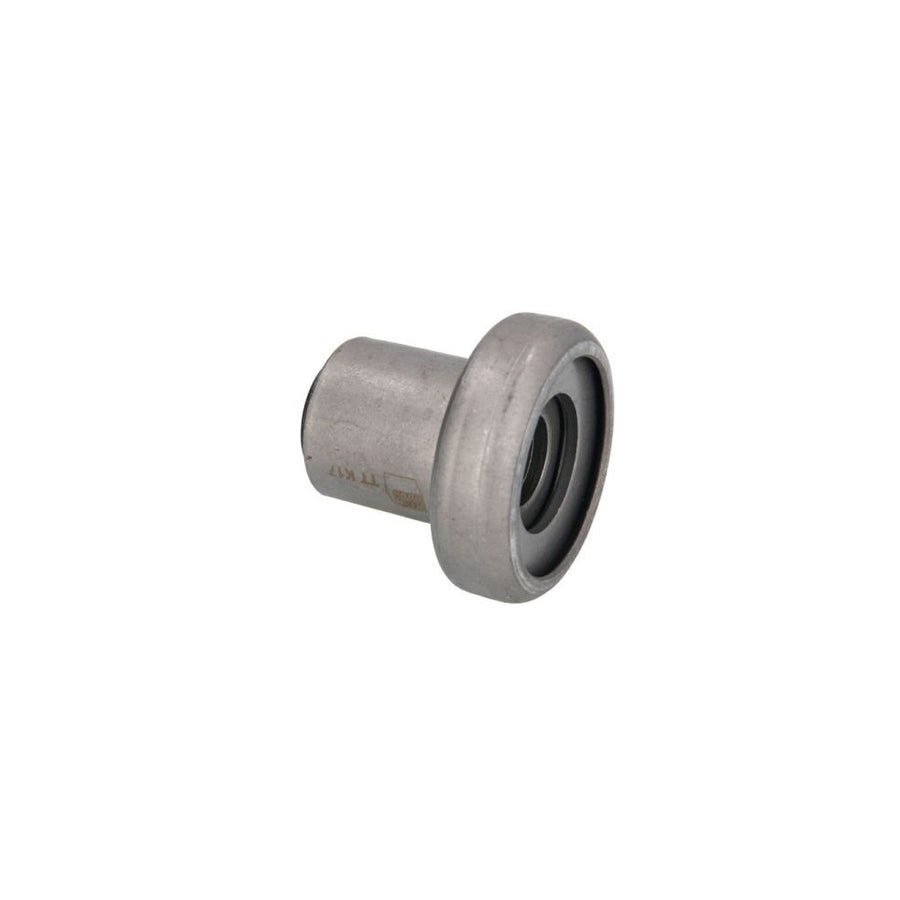 Reinhoch Rh140056 Control Arm / Trailing Arm Bush For VW Lt