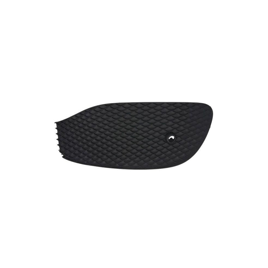 Blic 6502-07-3531994Pp Bumper Grill Suitable For Mercedes-Benz E-Class