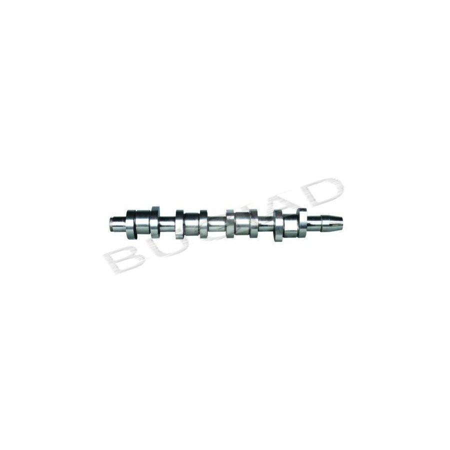 BUGIAD Bsp20430 Camshaft