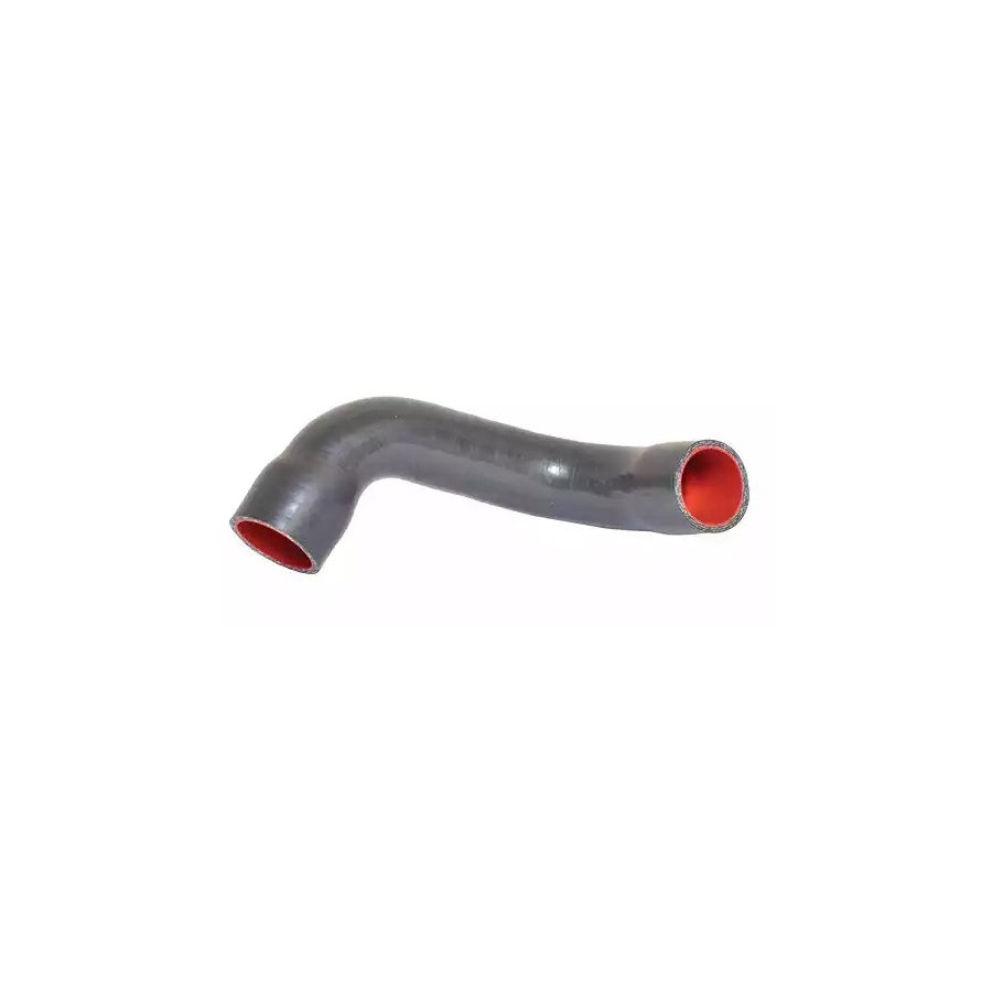 BUGIAD 88762 Charger Intake Hose for Renault Megane