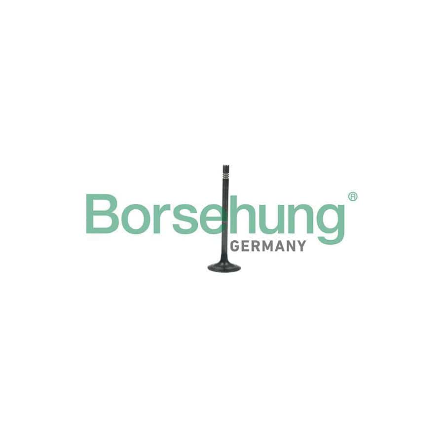 Borsehung B19006 Exhaust Valve