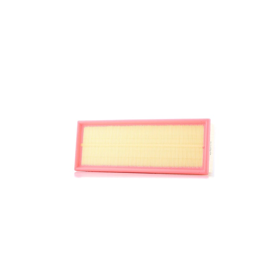 Automega 180029310 Air Filter
