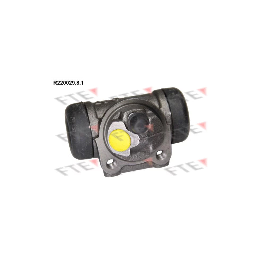FTE 9210223 Wheel Brake Cylinder