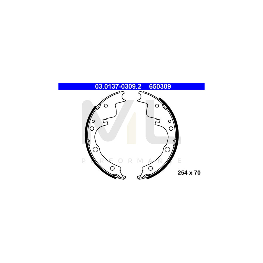 ATE 03.0137-0309.2 Brake Shoe Set