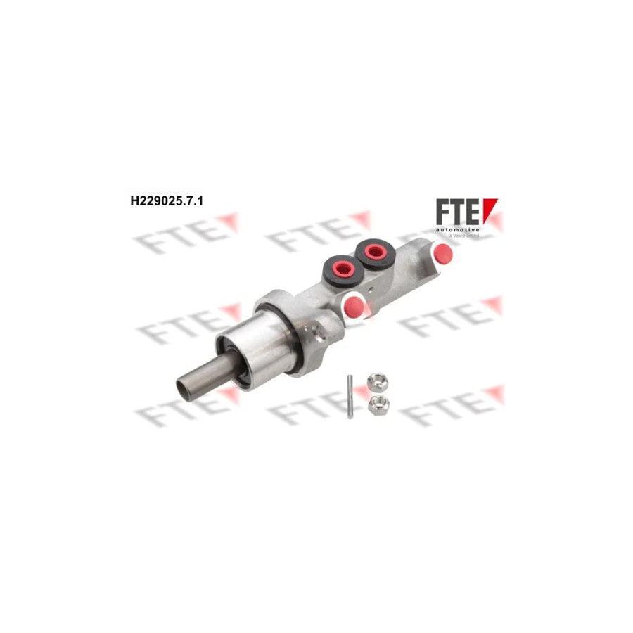 FTE H229025.7.1 Brake Master Cylinder