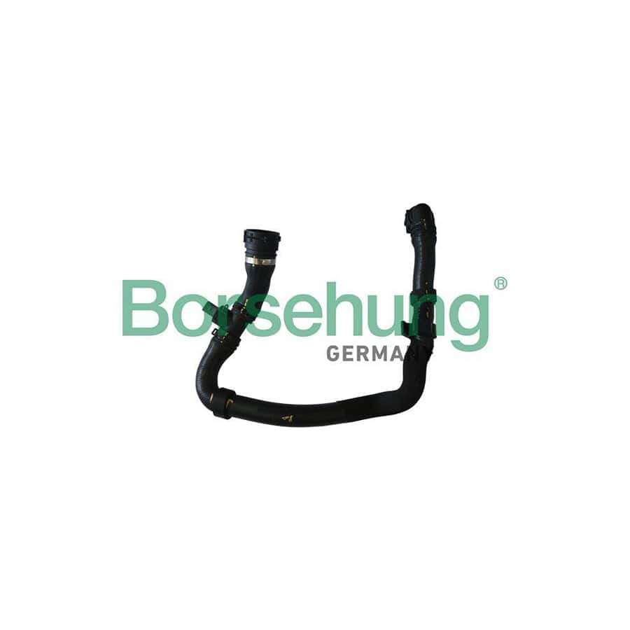 Borsehung B11960 Radiator Hose for VW Tiguan I (5N)