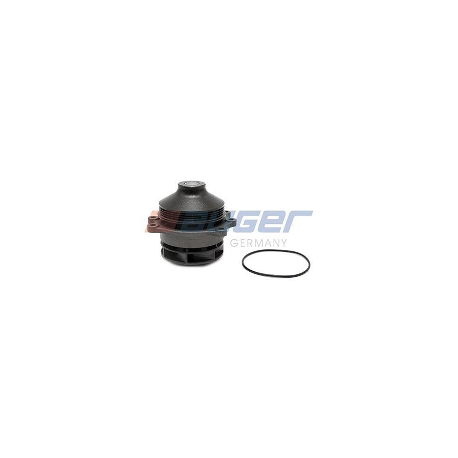 Auger 95925 Water Pump