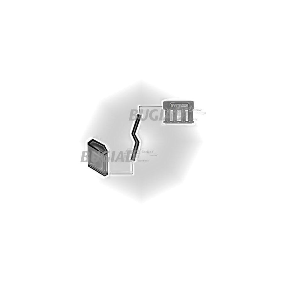 BUGIAD 88760 Charger Intake Hose