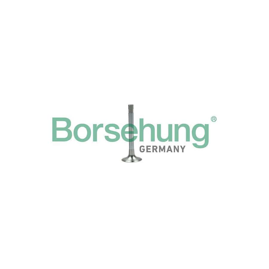 Borsehung B19003 Exhaust Valve