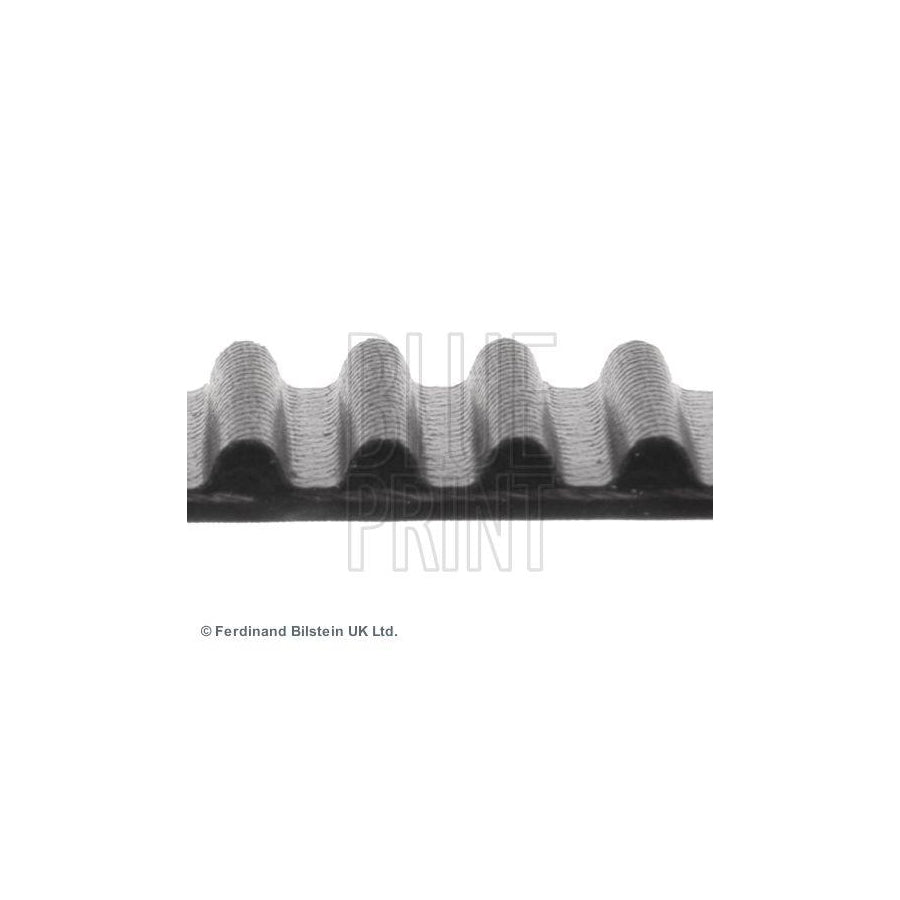 Blue Print Adm57517 Timing Belt
