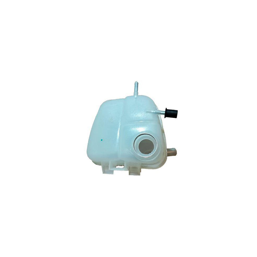 BUGIAD Bmc19081 Water Tank, Radiator