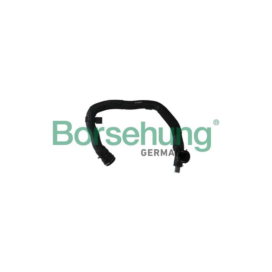 Borsehung B11958 Radiator Hose for VW Tiguan II (Ad1)