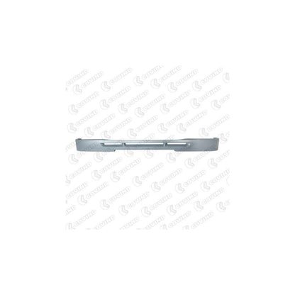 Covind Lf0/ 99 Bumper