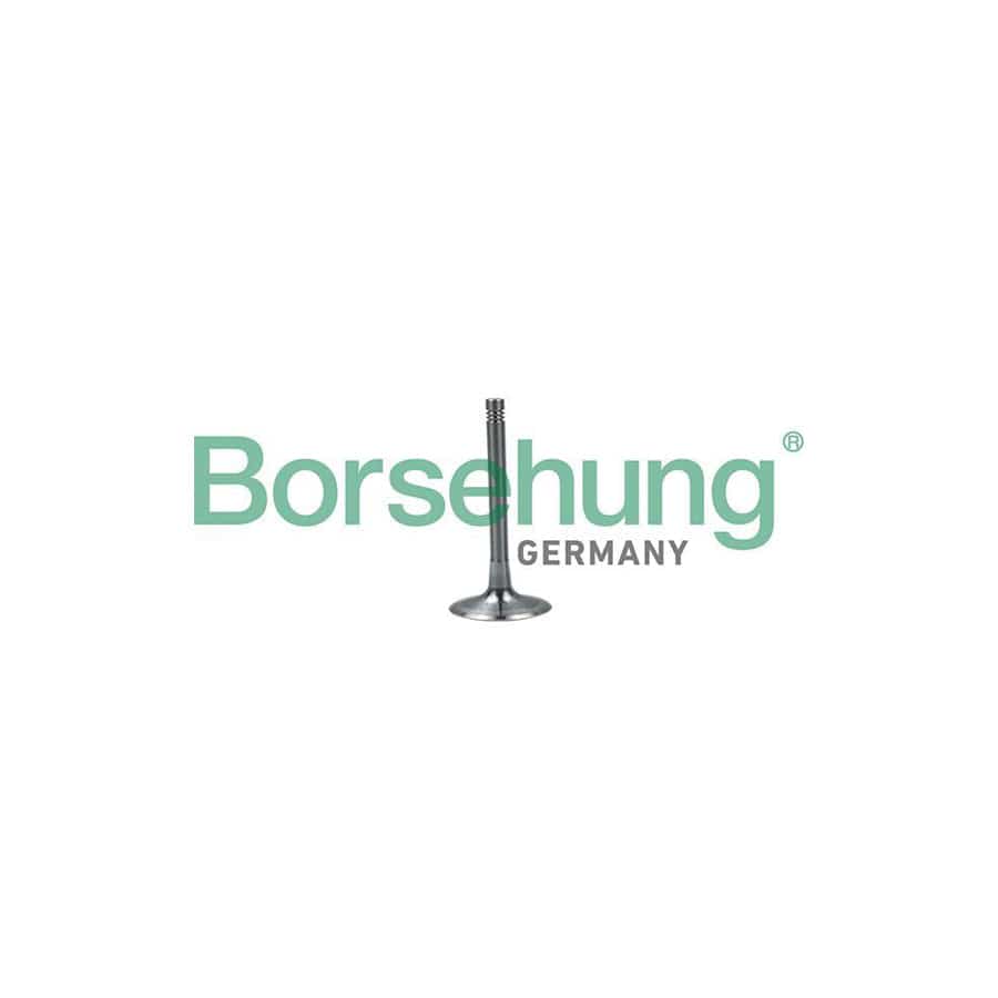 Borsehung B19028 Inlet Valve