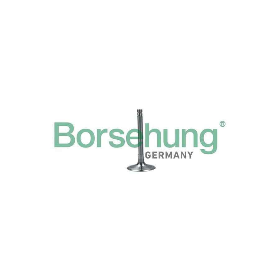 Borsehung B19027 Inlet Valve for Audi A6