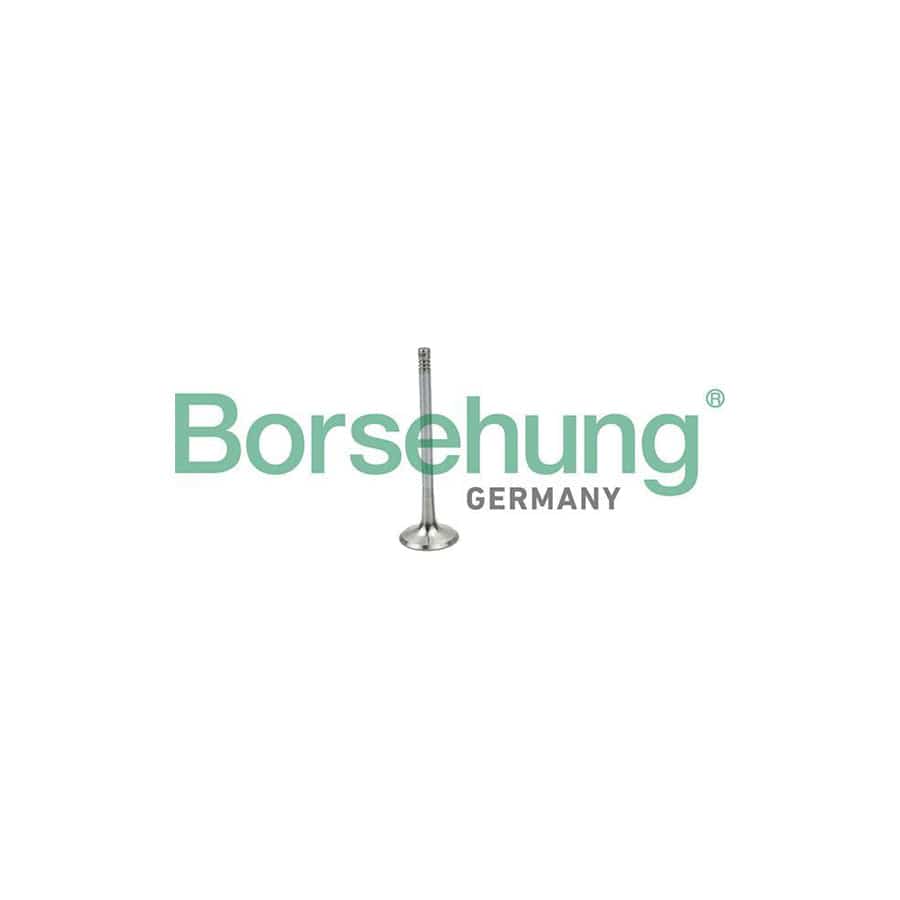 Borsehung B19025 Inlet Valve