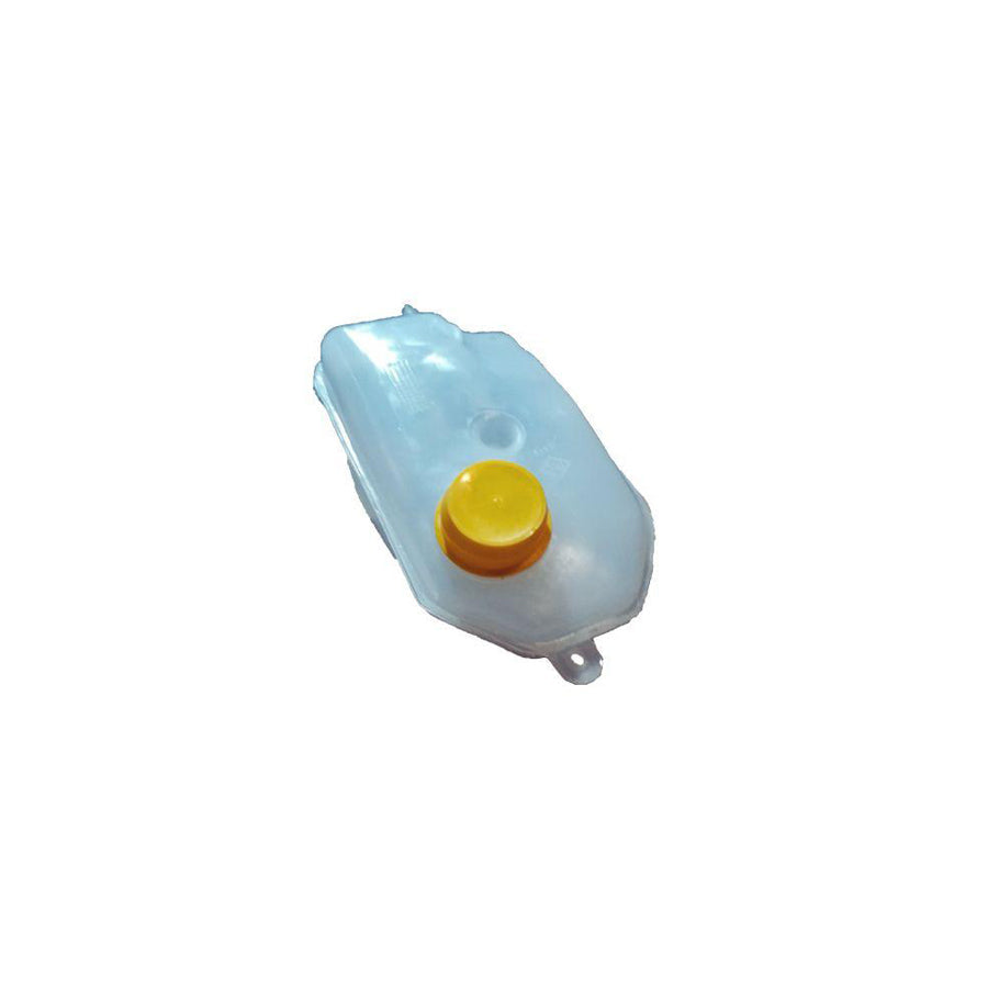 BUGIAD Bmc19095 Water Tank, Radiator for Ford Escort Express  81 (Ava)