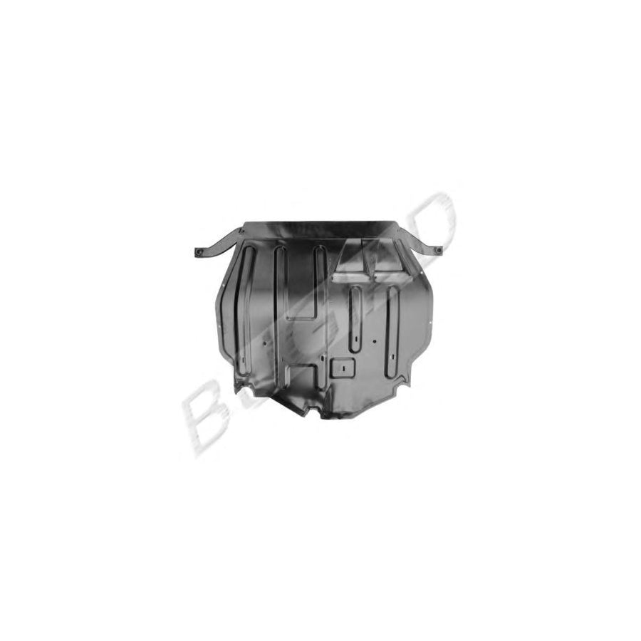 BUGIAD Bsp20451 Silencing Material, Engine Bay