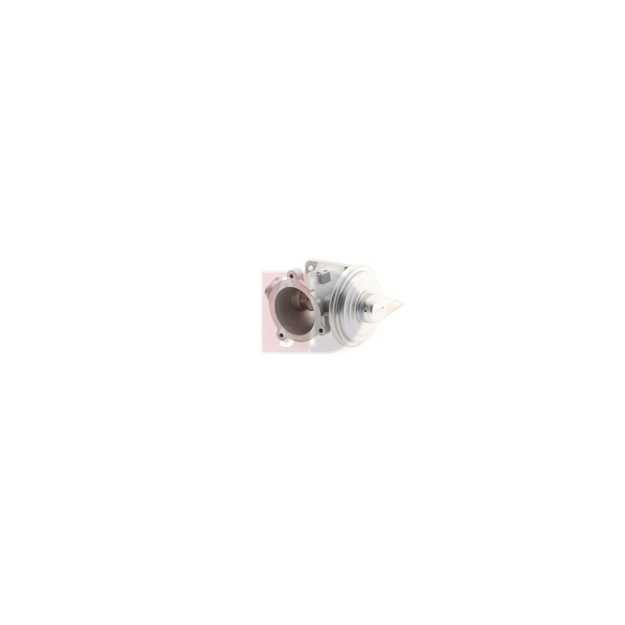 AKS Dasis 055025N Egr Valve