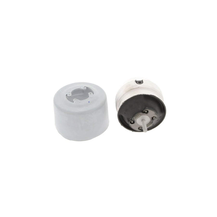 Corteco 80000010 Engine Mount for Audi A4