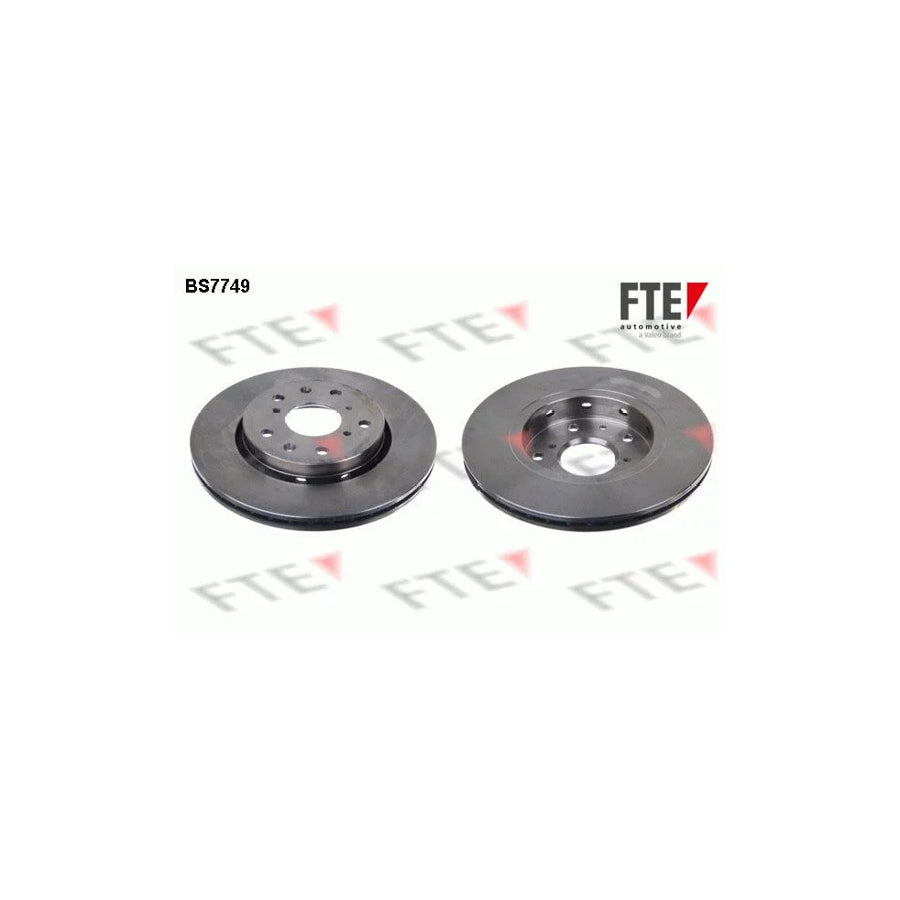 FTE 9072124 Brake Disc for Suzuki Swift III Hatchback (Mz, Ez)