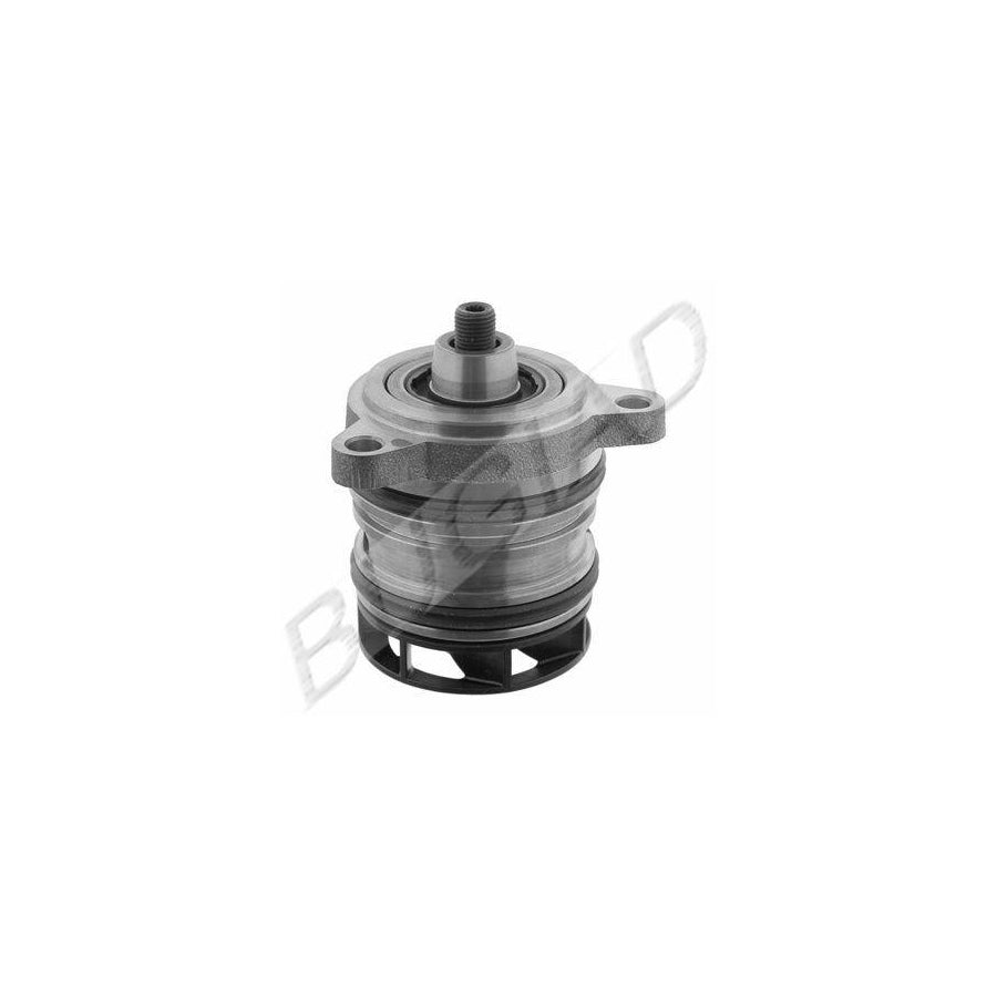 BUGIAD Bsp20450 Water Pump