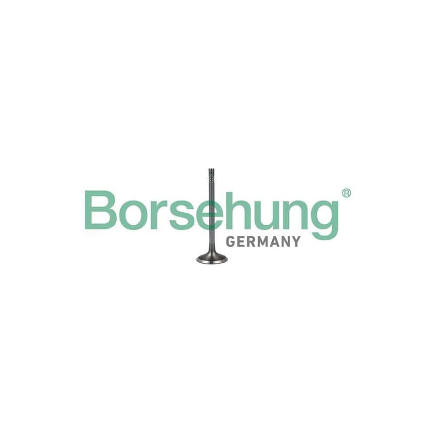 Borsehung B19023 Inlet Valve