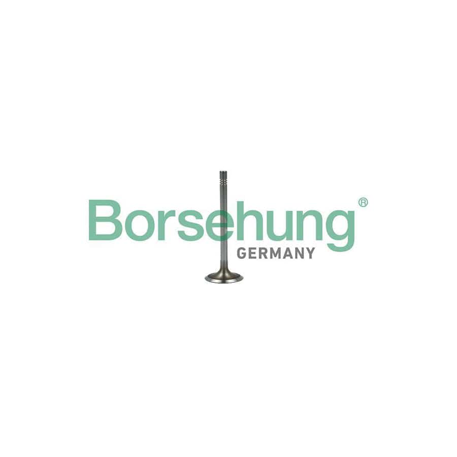 Borsehung B19022 Inlet Valve