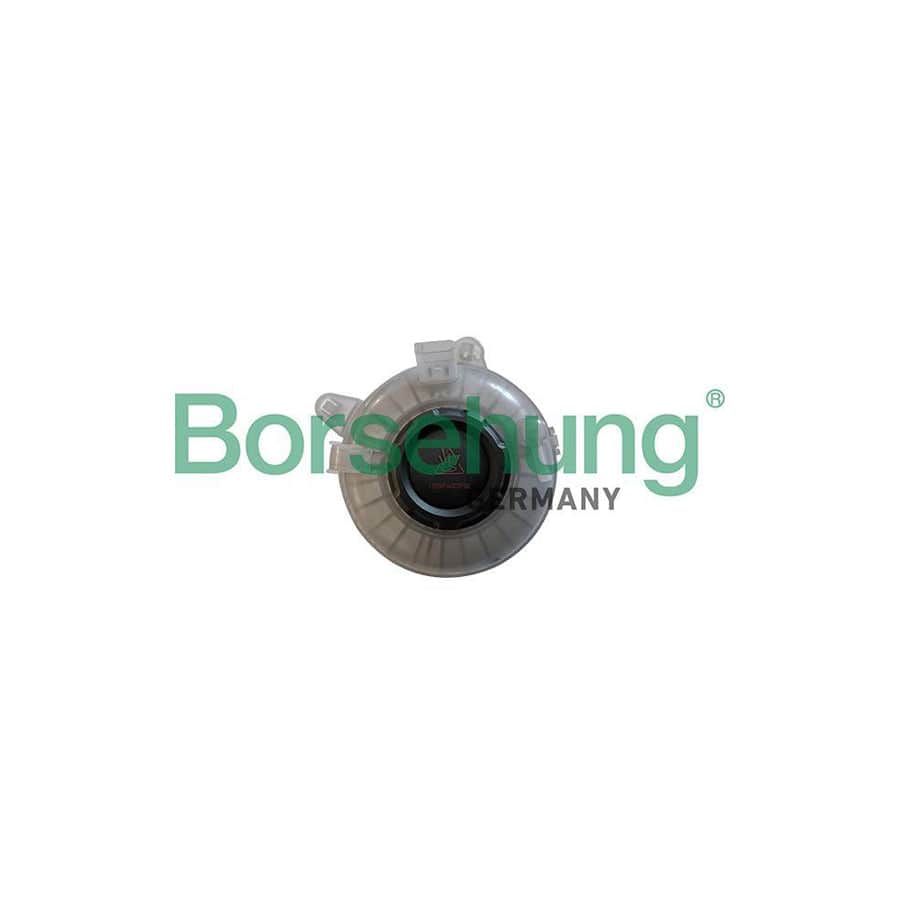 Borsehung B11939 Coolant Expansion Tank