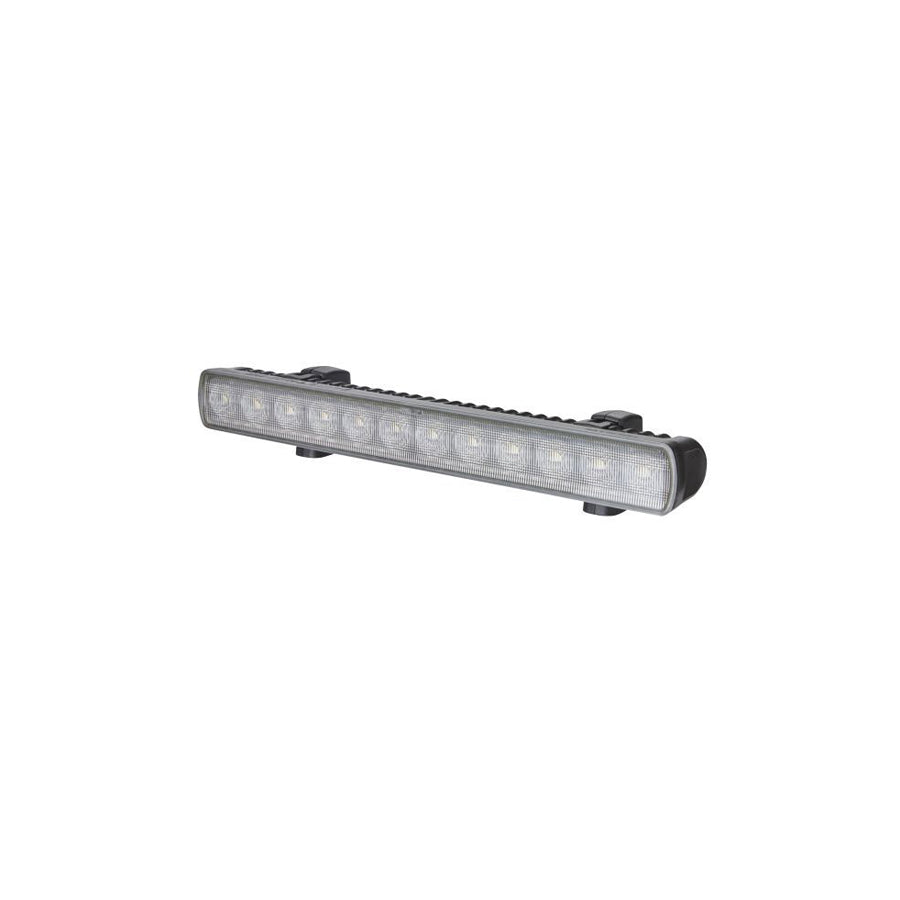 Hella 1GJ 958 040-501 Worklight