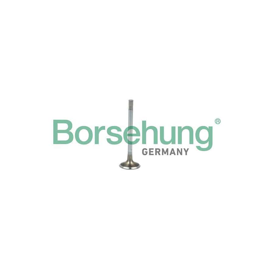 Borsehung B19021 Inlet Valve