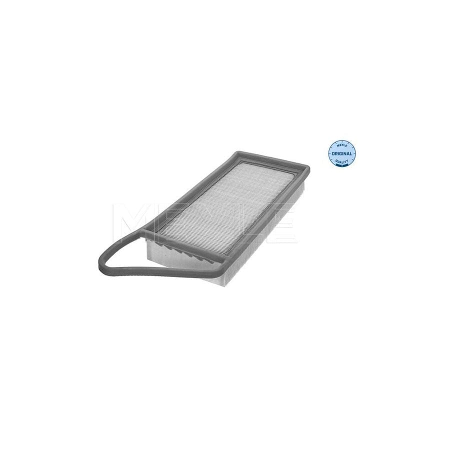 Meyle 11-12 321 0009 Air Filter