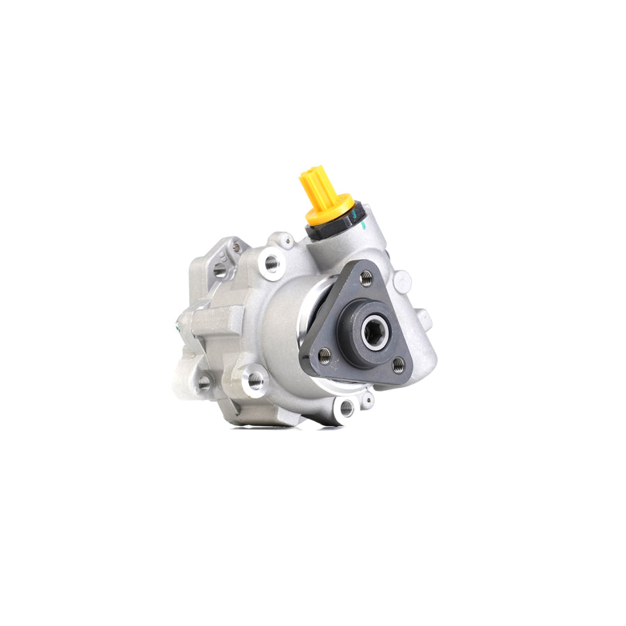 MEYLE 314 631 0002 Power Steering Pump for BMW 3 Series