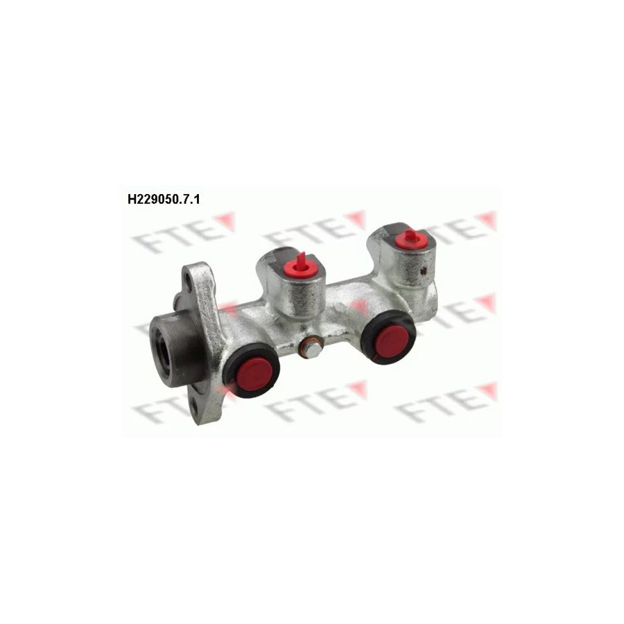 FTE H229050.7.1 Brake Master Cylinder