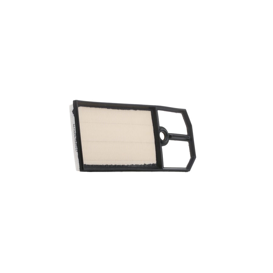Ridex 8A0045 Air Filter