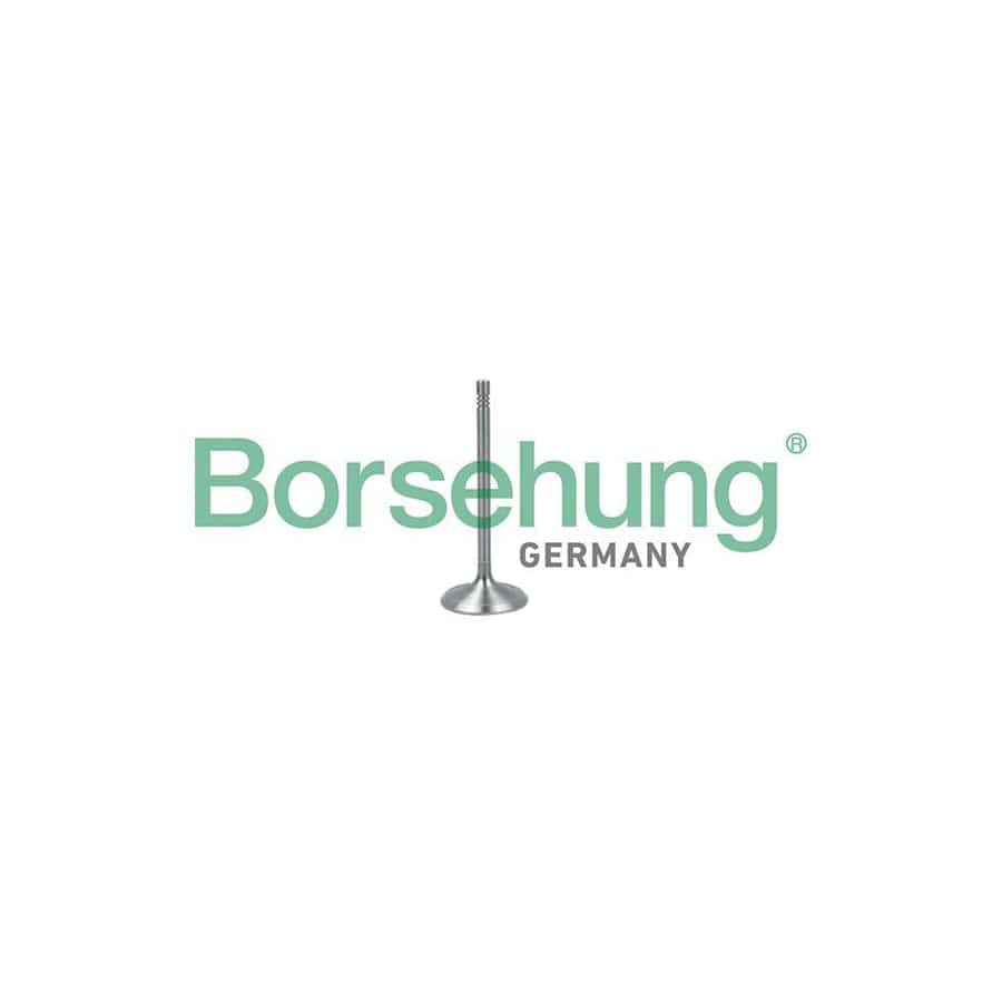 Borsehung B19017 Inlet Valve