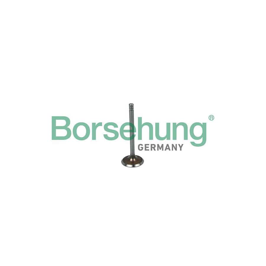 Borsehung B19016 Inlet Valve