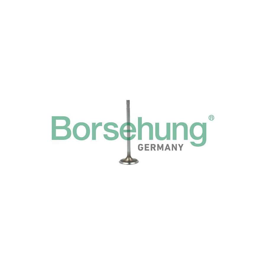 Borsehung B19015 Inlet Valve