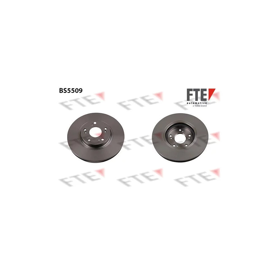 FTE Bs5509 Brake Disc for Honda Accord