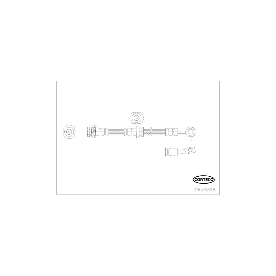 Corteco 19036848 Brake Hose