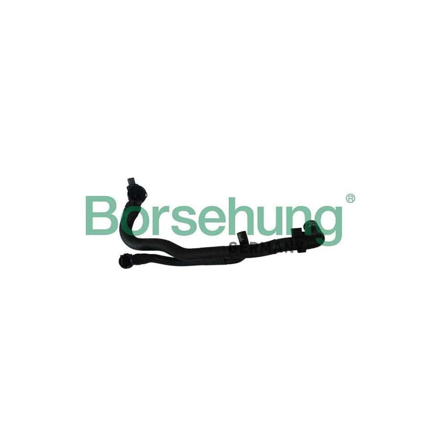 Borsehung B11978 Radiator Hose