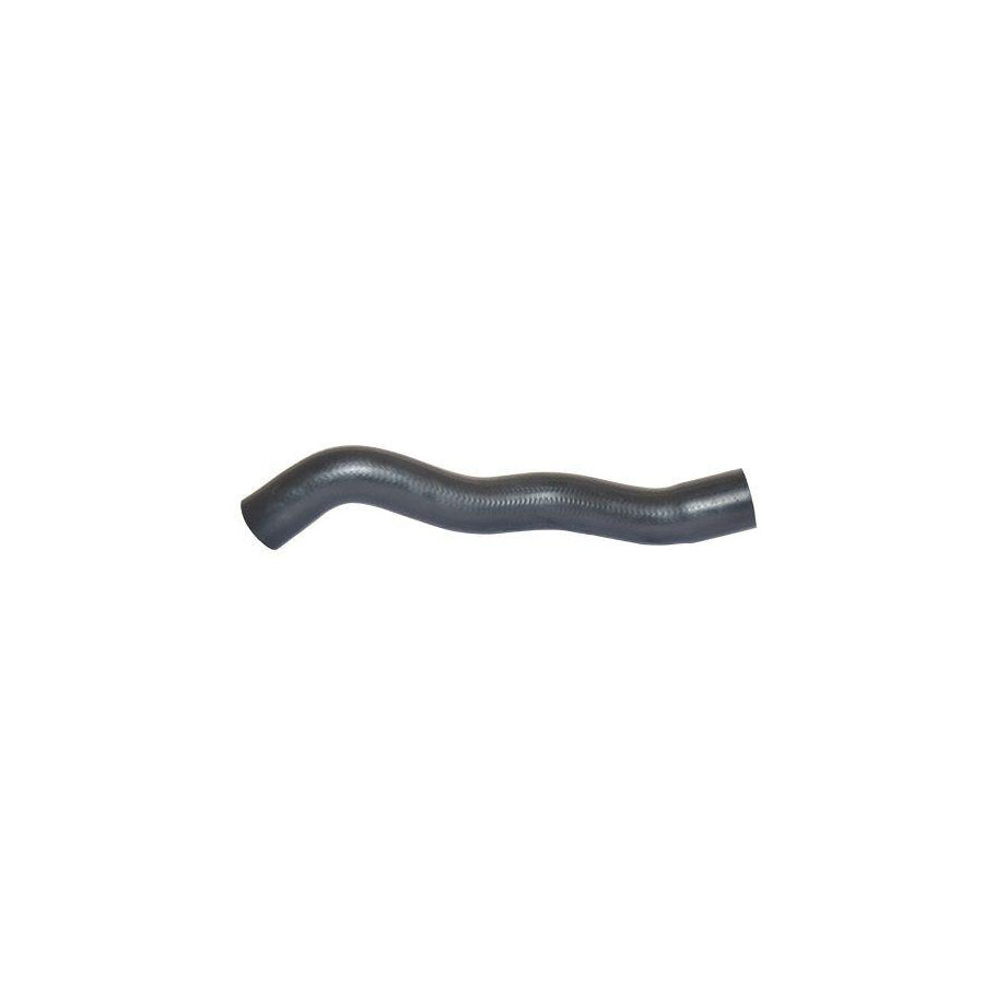BUGIAD 88776 Charger Intake Hose