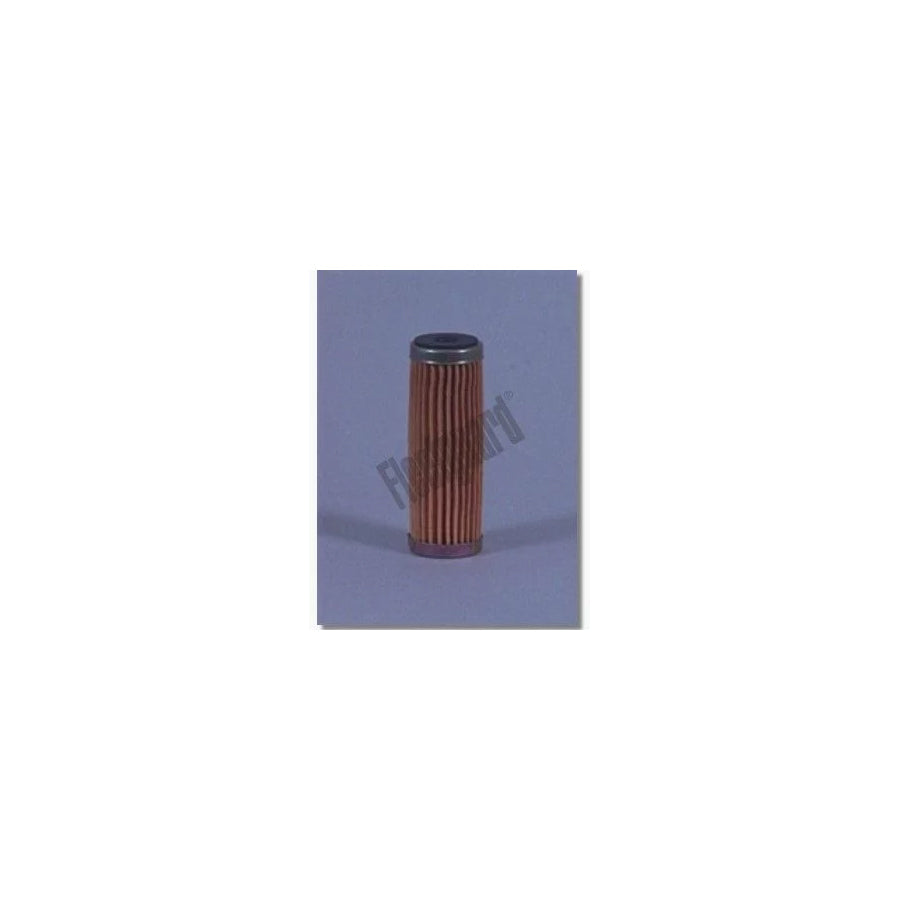 Fleetguard Ff219 Fuel Filter