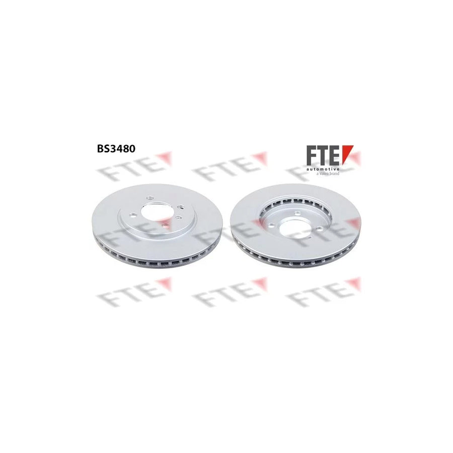FTE Bs3480 Brake Disc